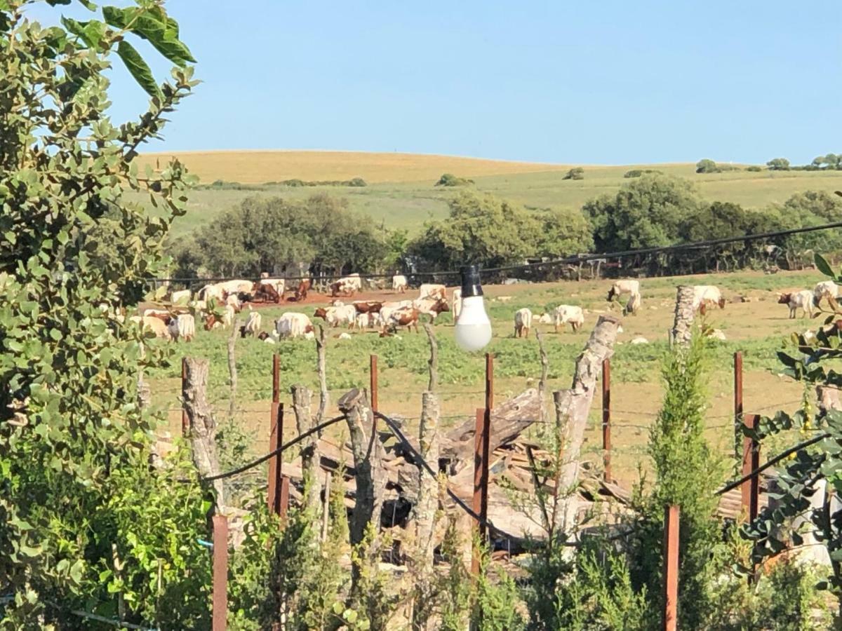 Alojamiento Rural El Soldao Medina-Sidonia Extérieur photo
